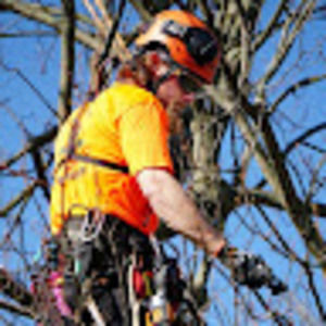 Meet your Posher, Avery